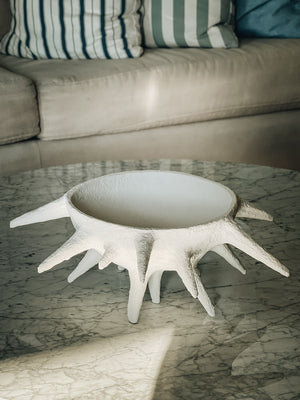 Creature Bowl