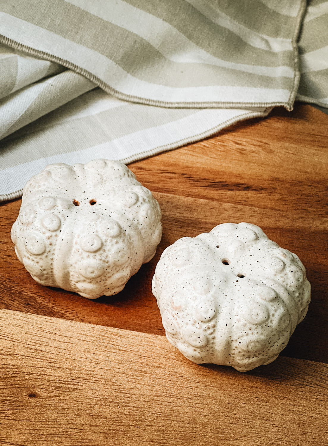 Sea Urchin Salt & Pepper Set